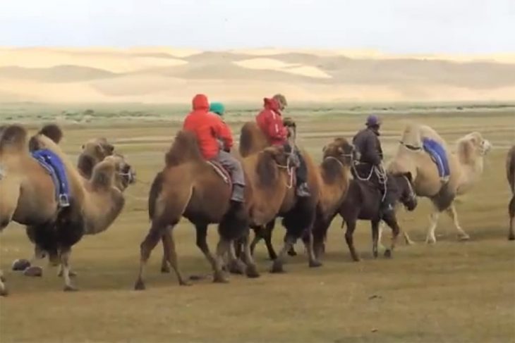 méharée en Mongolie