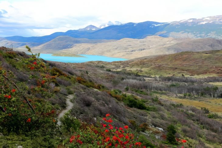 Trek du W, parc national Torres del Paine