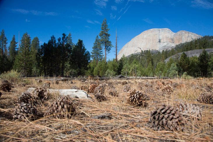 Le Half Dome par la face de la voie normale