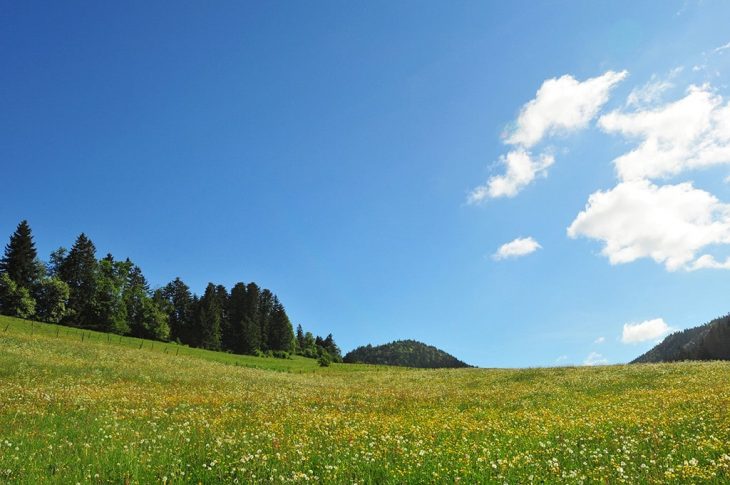 randonnée de l'Orlogeur dans le Jura