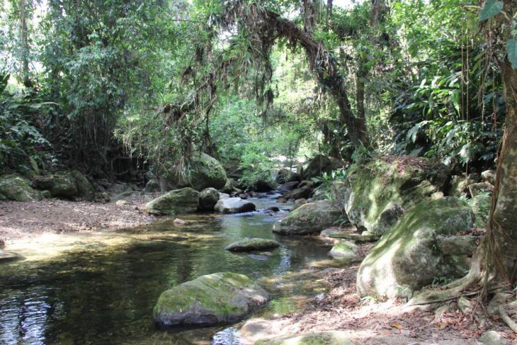 Randonnée en Colombie