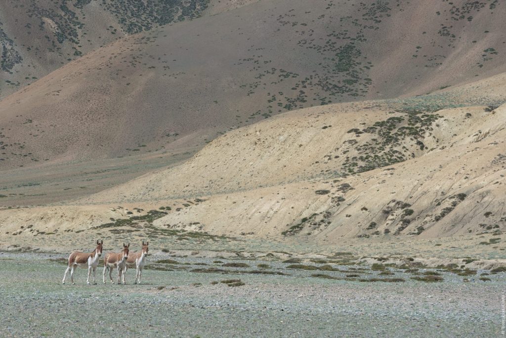 Ladakh