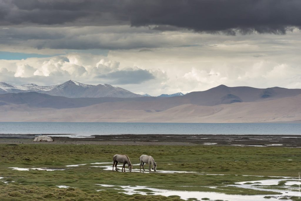 Ladakh