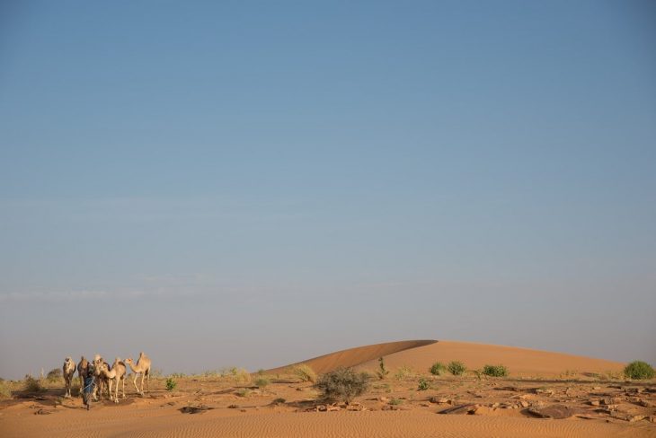 dunes de l'Adrar