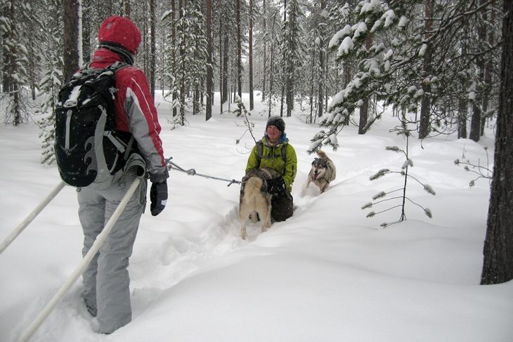 raquettes dans le parc national d’Hossa