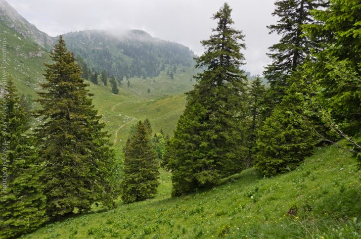 traversée de la Haute Chaîne du Jura