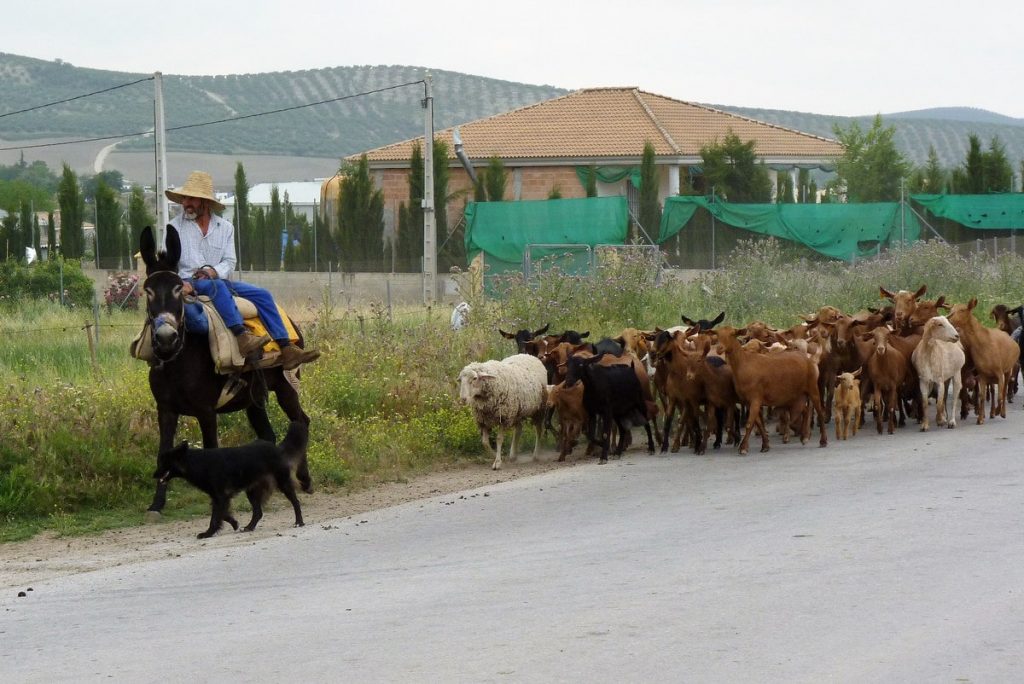 traversée de l&#039;Andalousie