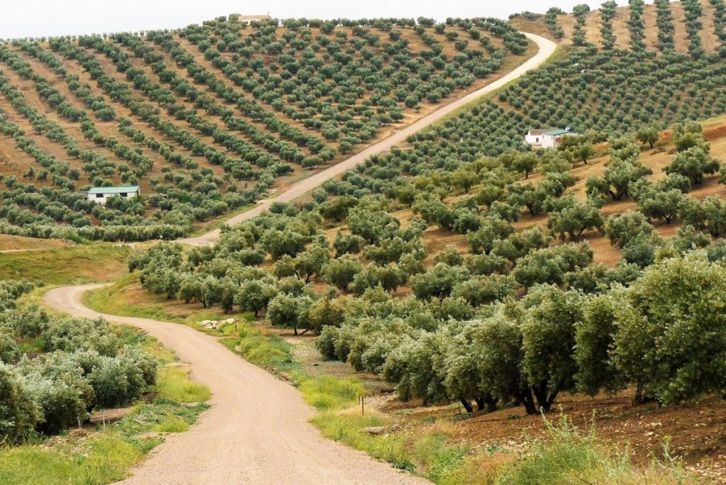 traversée de l&#039;Andalousie