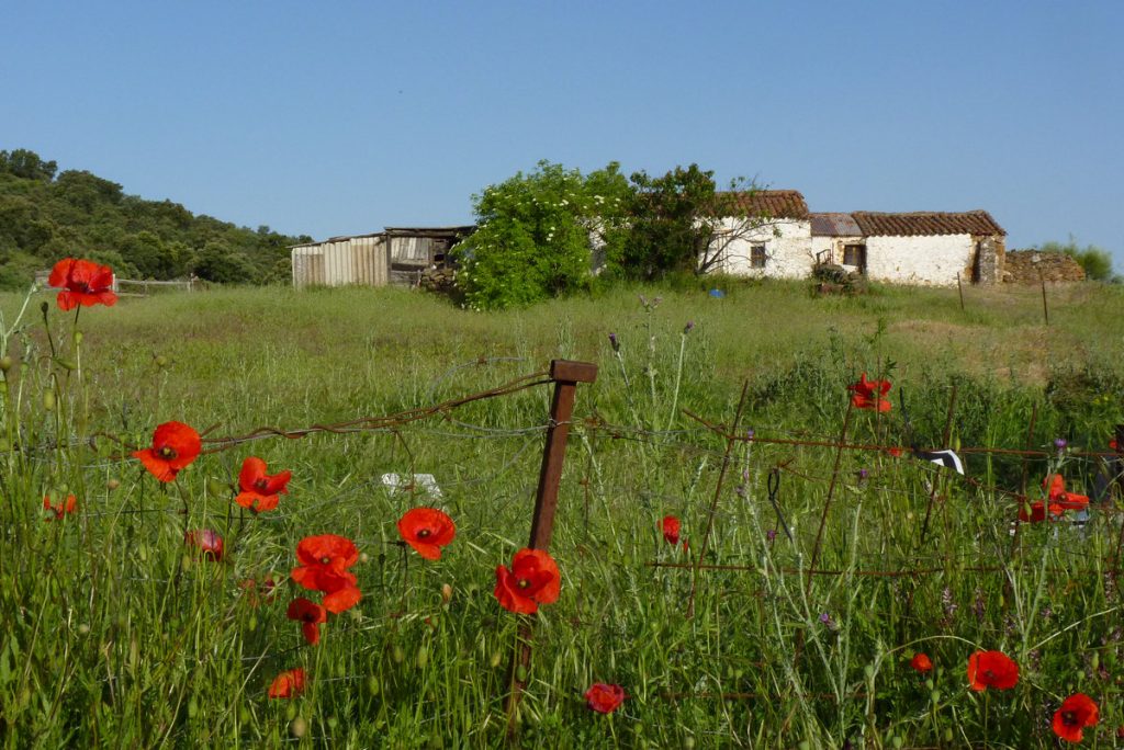 traversée de l&#039;Andalousie