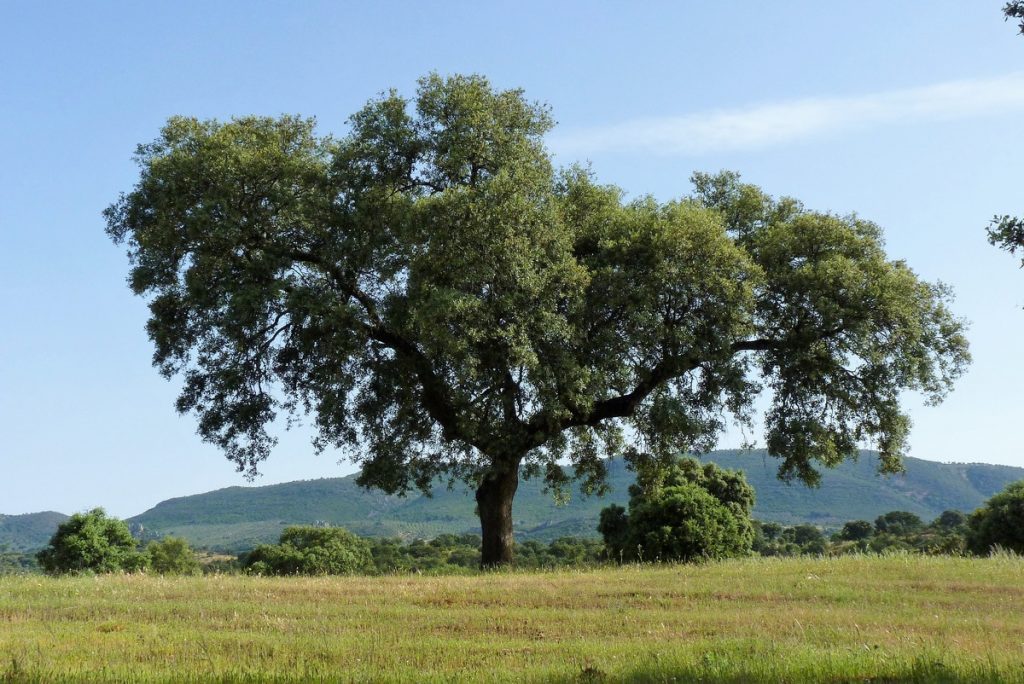 traversée de l&#039;Andalousie