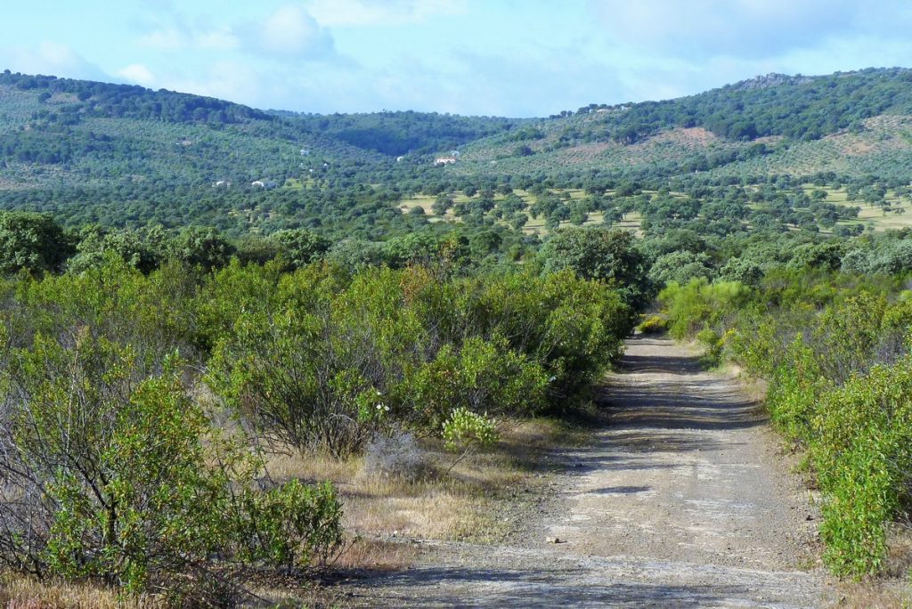 traversée de l&#039;Andalousie