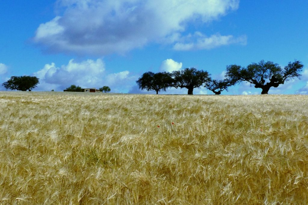 traversée de l&#039;Andalousie