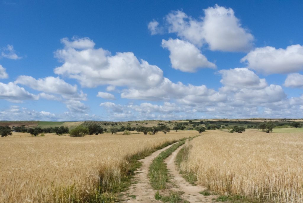 traversée de l&#039;Andalousie