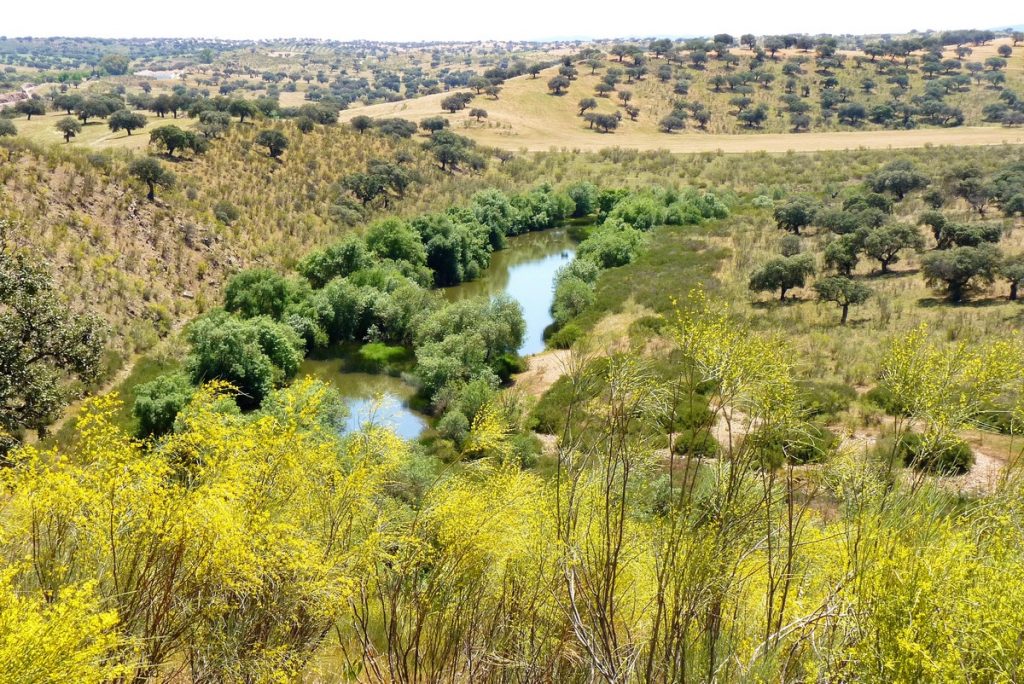 traversée de l&#039;Andalousie