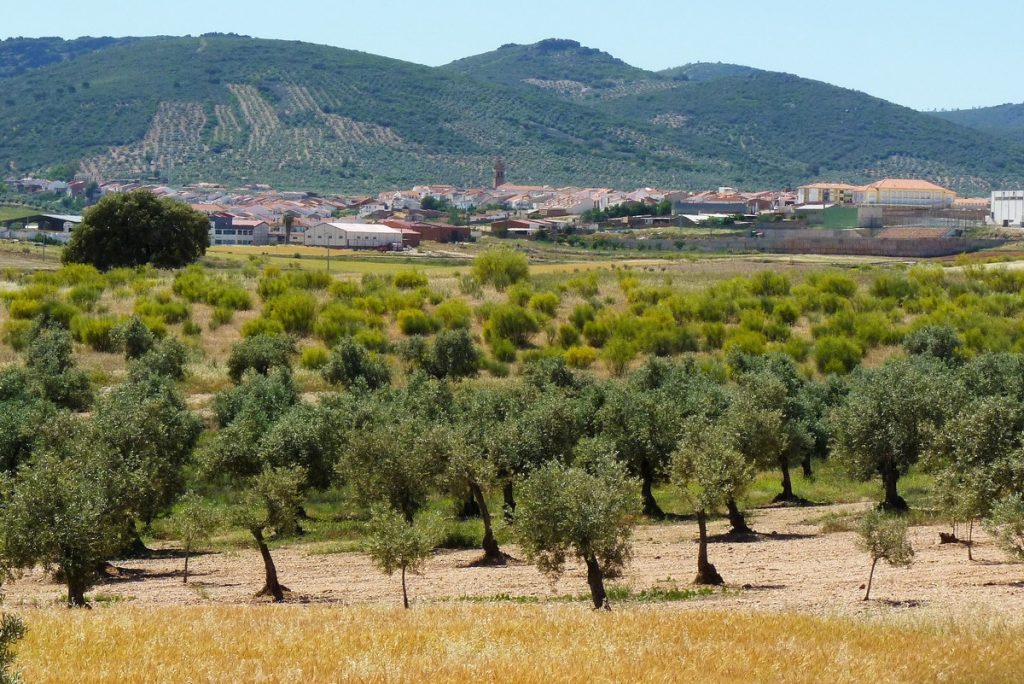 traversée de l&#039;Andalousie