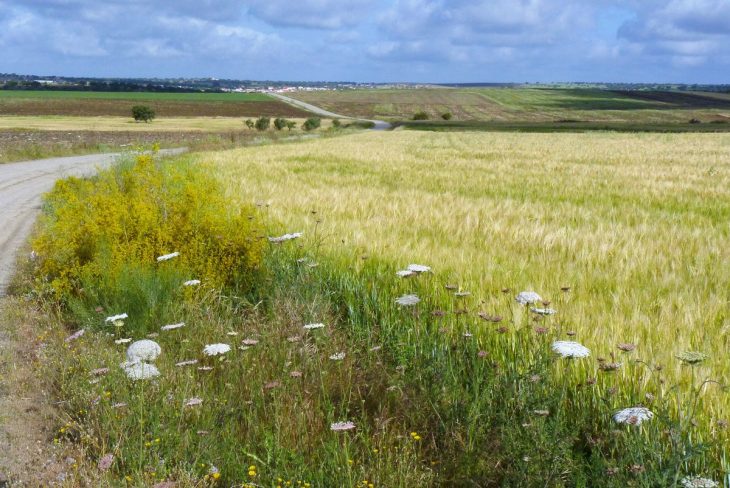 Traversée de l'Estrémadure à pied