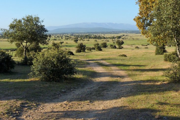 Traversée à pied de Castille-et-León