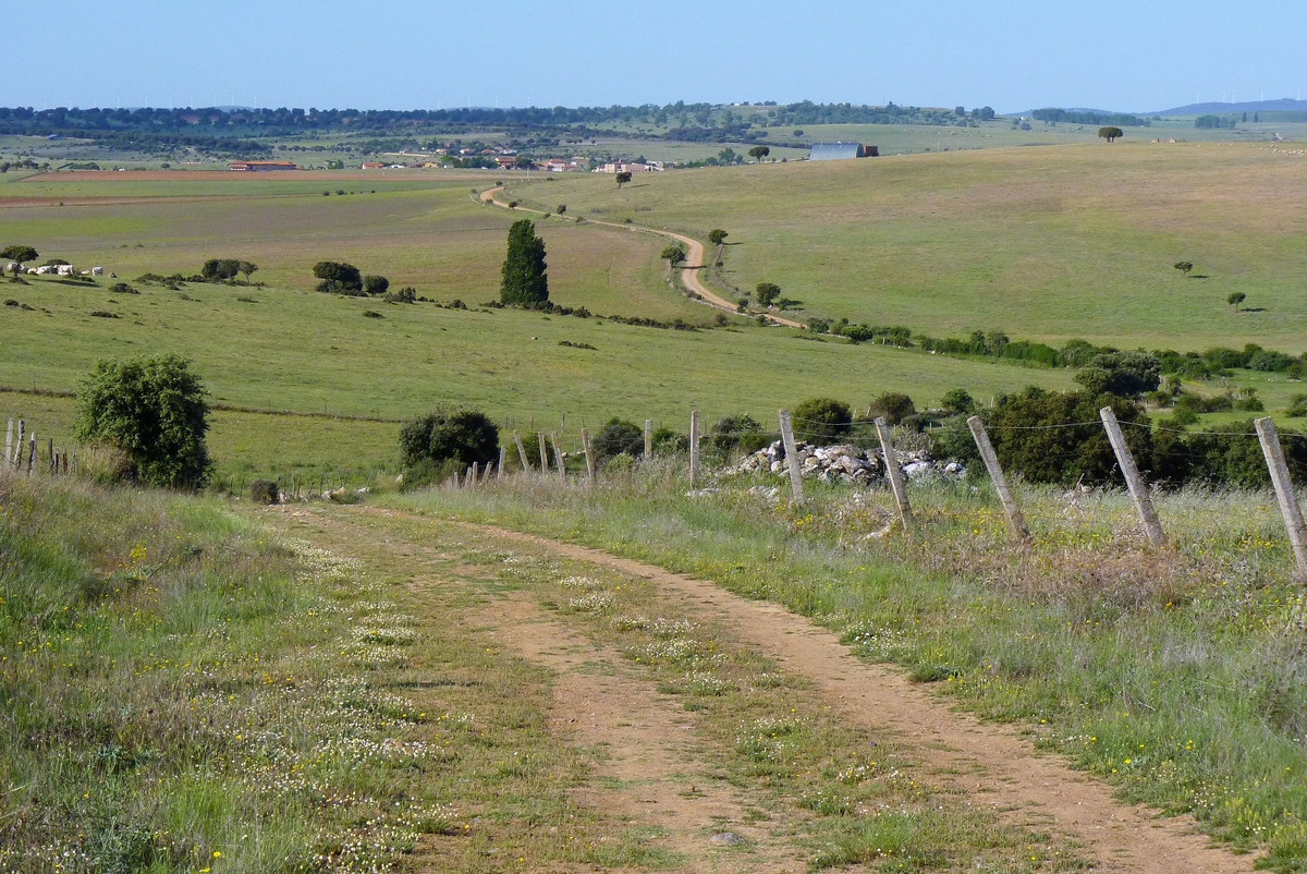 Traversée à pied de Castille-et-León