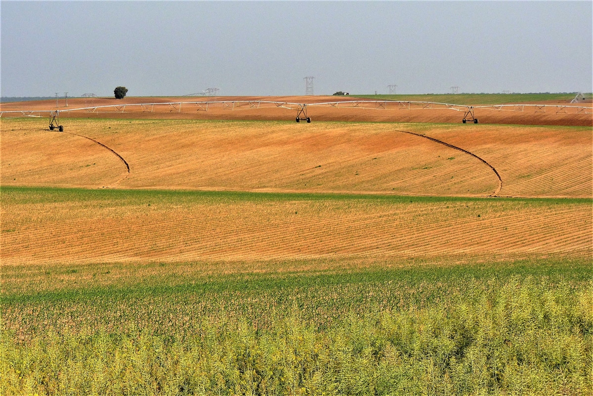 Traversée à pied de Castille-et-León