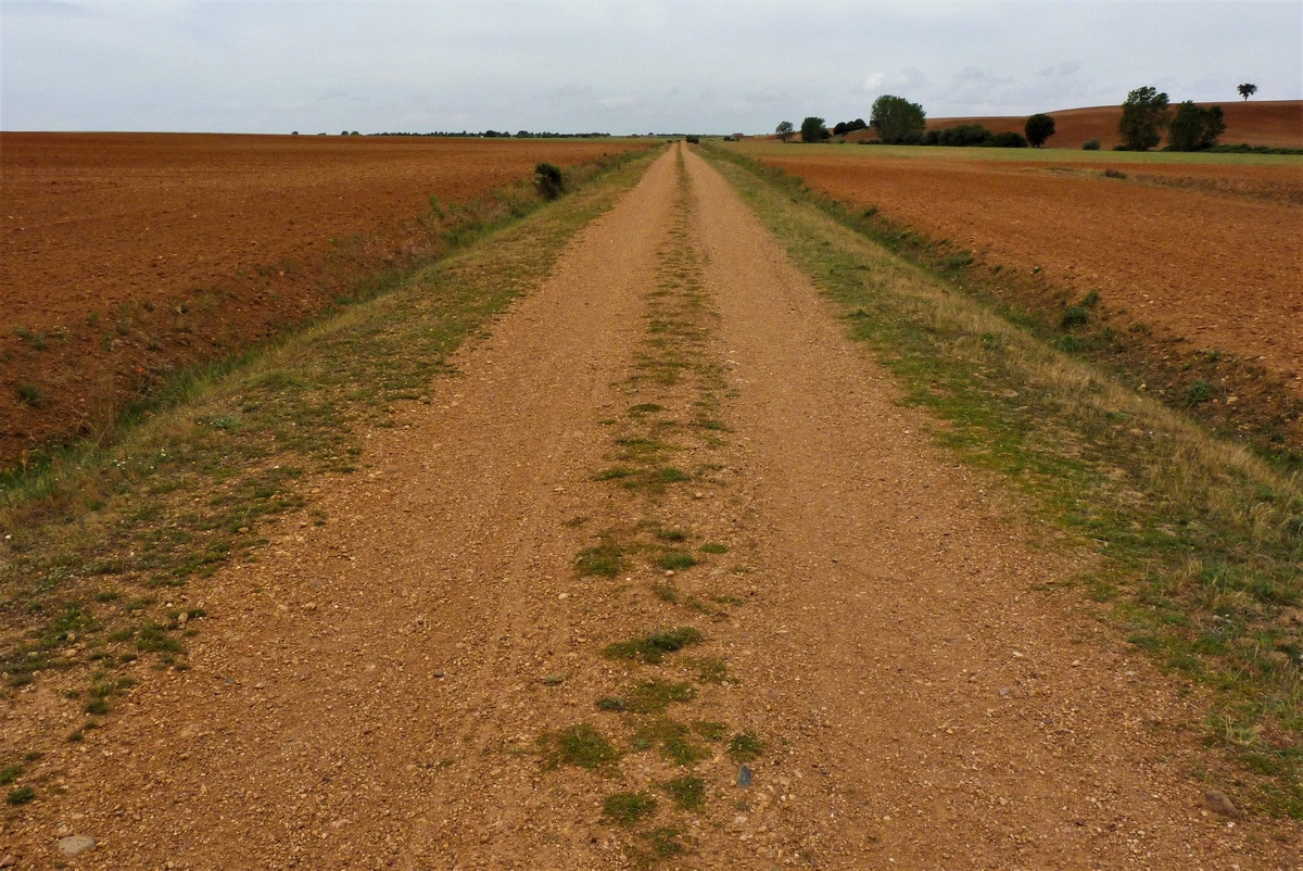 Traversée à pied de Castille-et-León