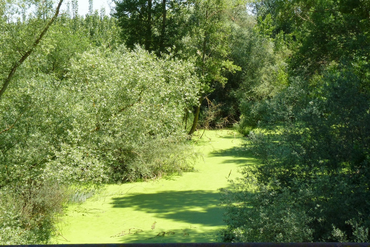 Traversée à pied de Castille-et-León