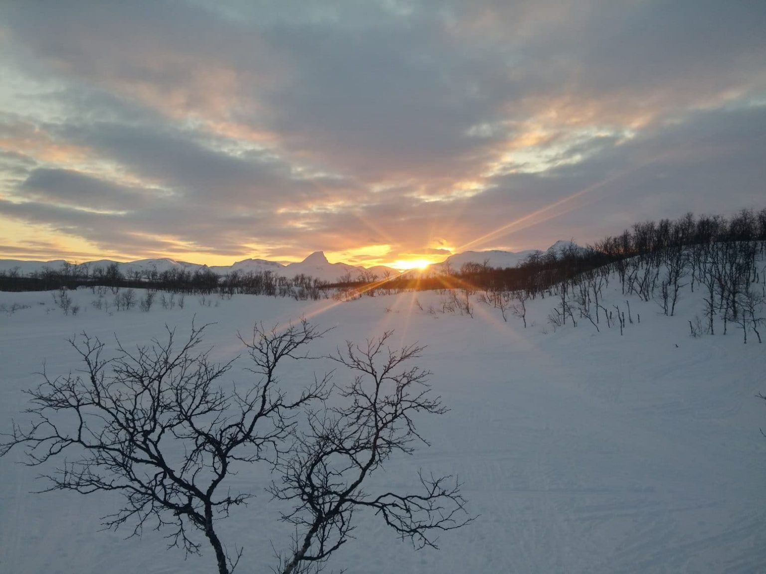 ski de randonnée nordique en laponie