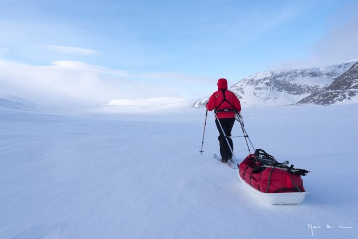 ski-pulka au coeur du Parc national de Dovrefjell-Sundasfjella