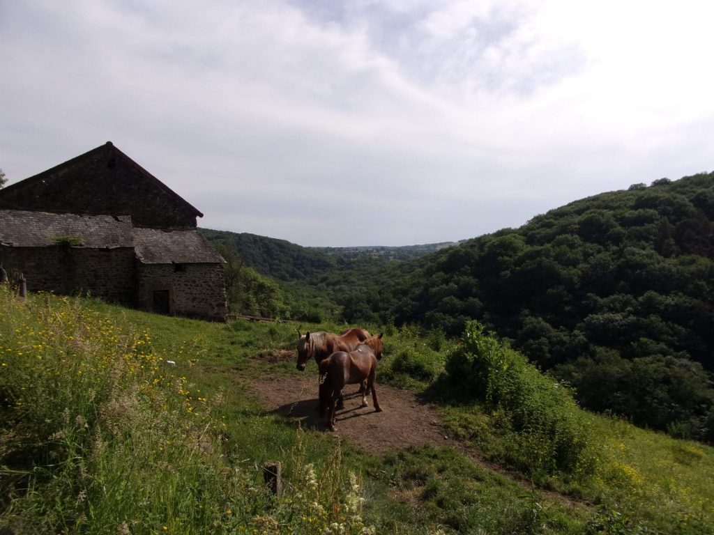 randonnée dans le Morvan