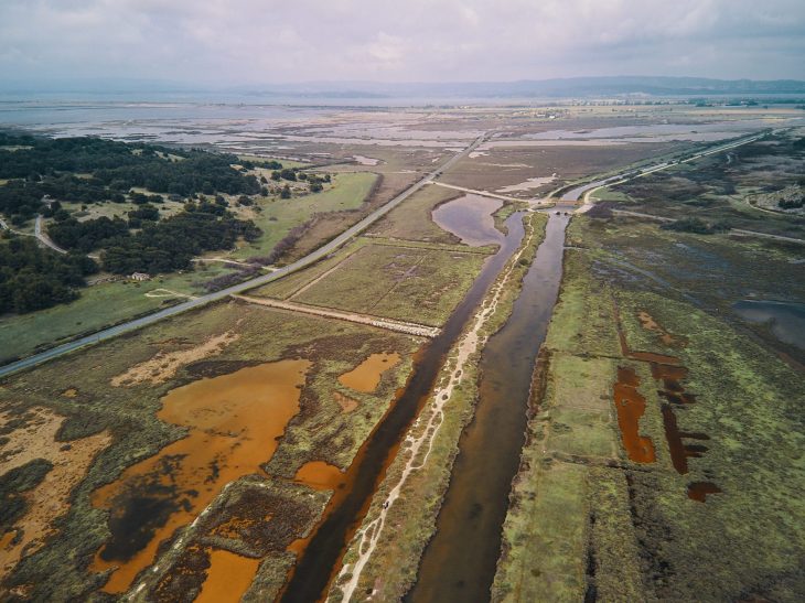 etangs de gruissan