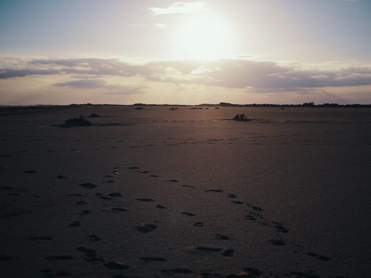 plage camargue