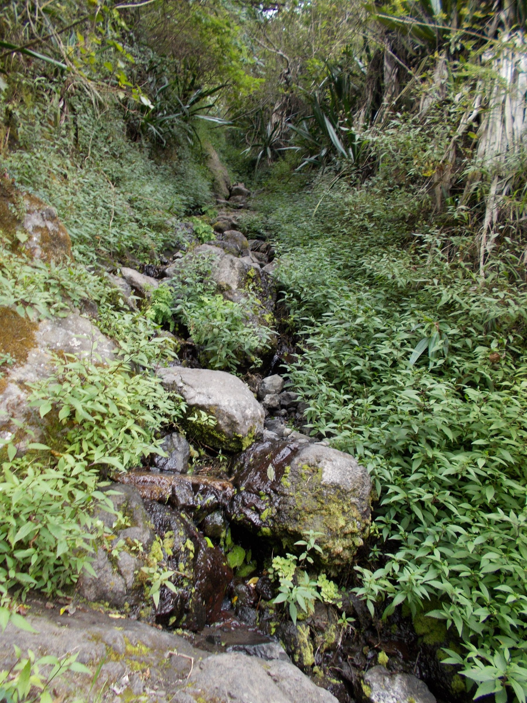 sentier ruisseau