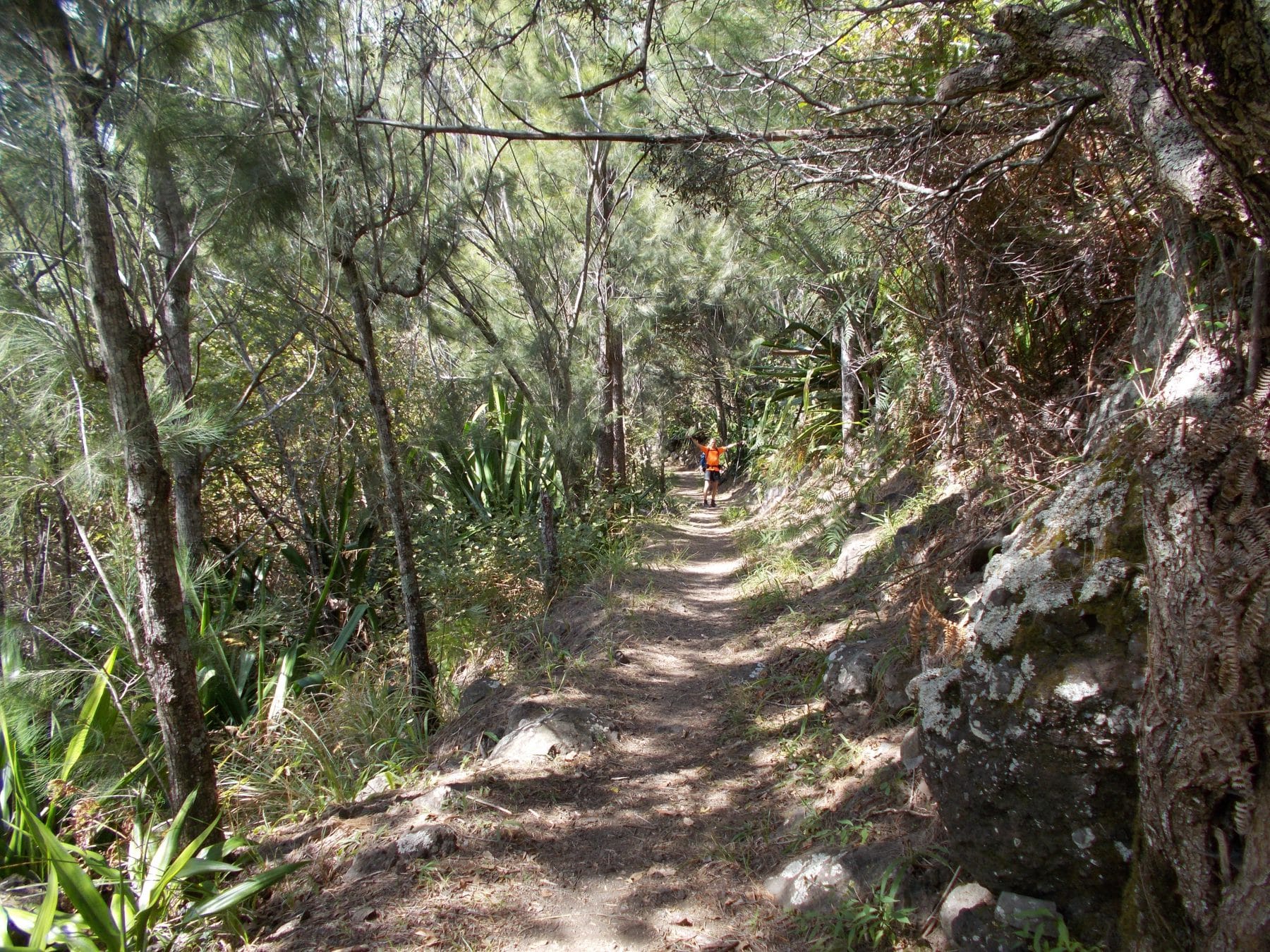 vers plateau de Gousse