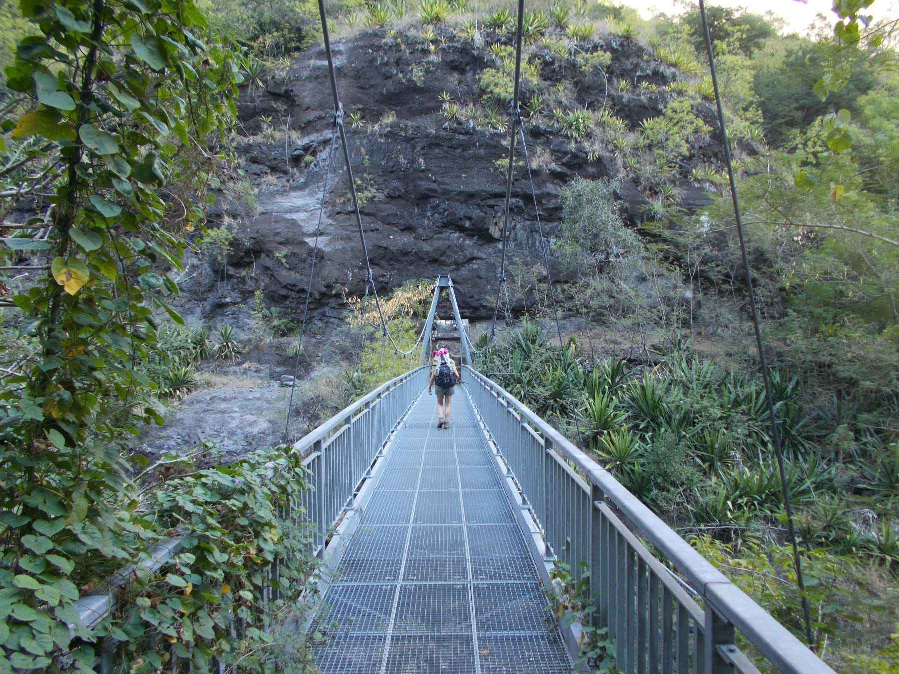 passerelle des lataniers