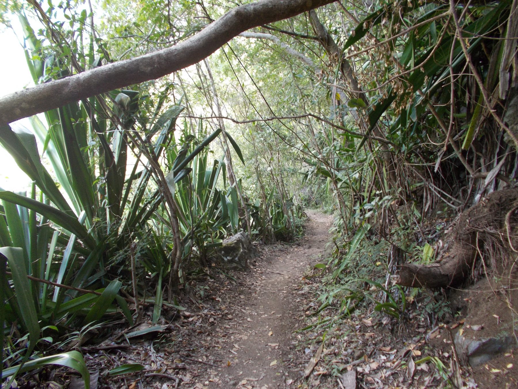 sentier canalisation