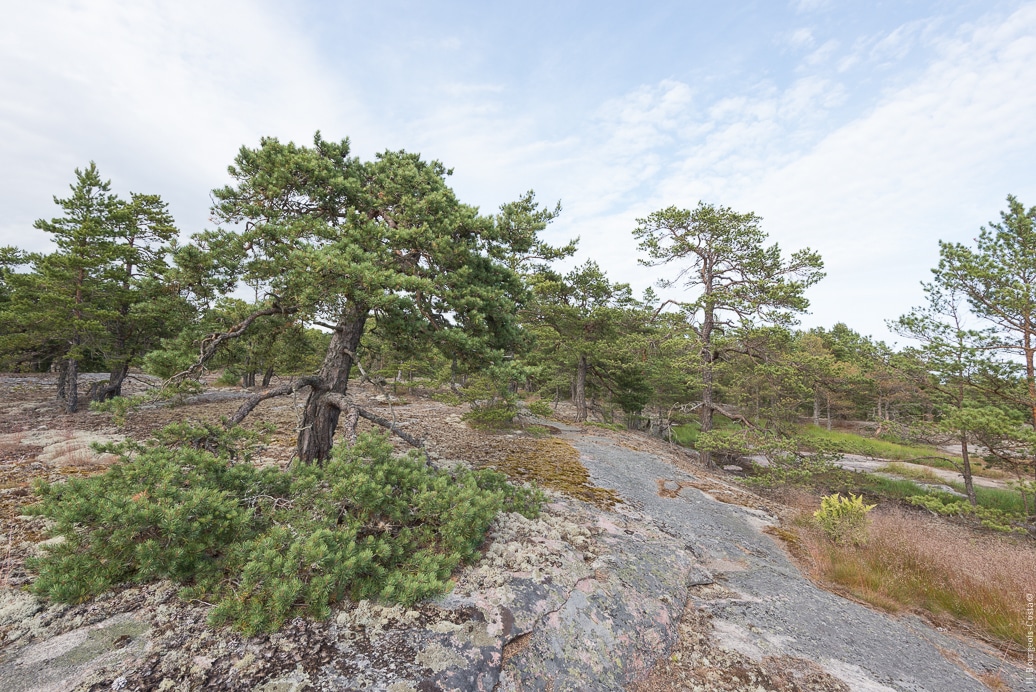 Saaristomeren kansallispuisto