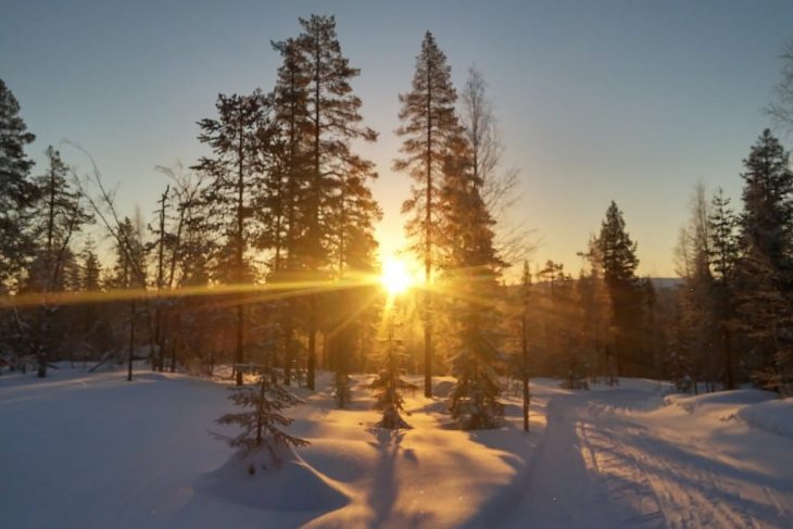 ski de randonnée nordique en laponie