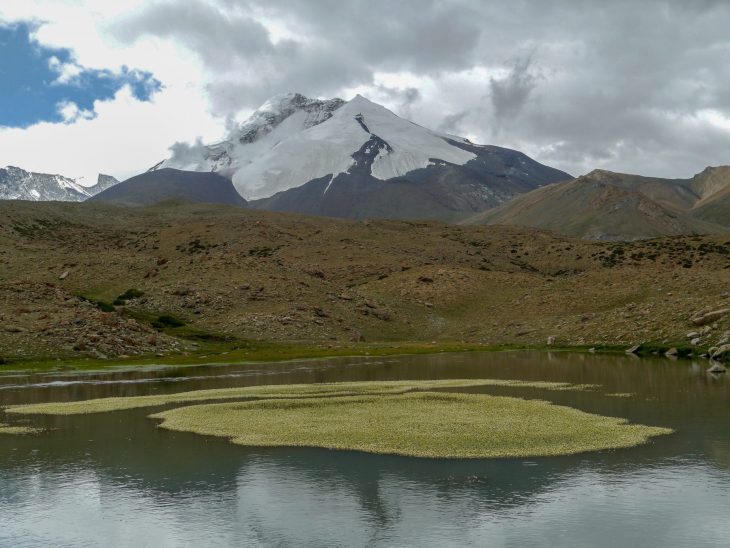 trek vallée de la Markha en Inde