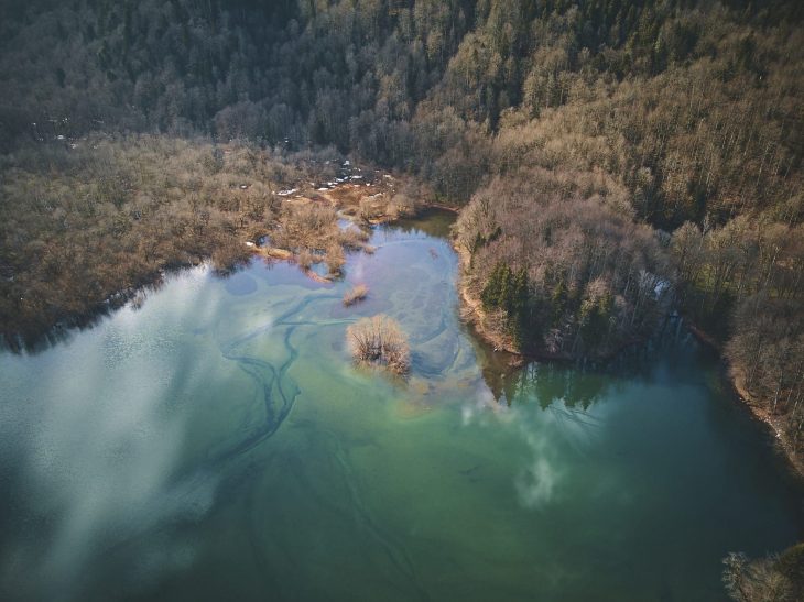 Montenegro, biogradska gora