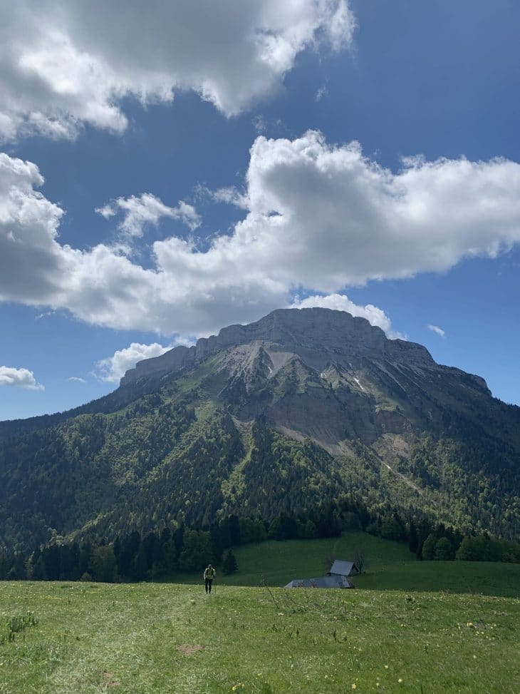 Chartreuse en trail