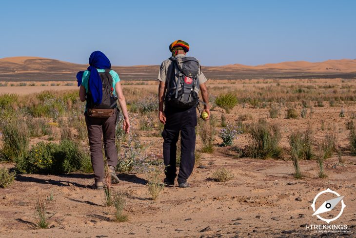 Traversée des dunes de Merzouga