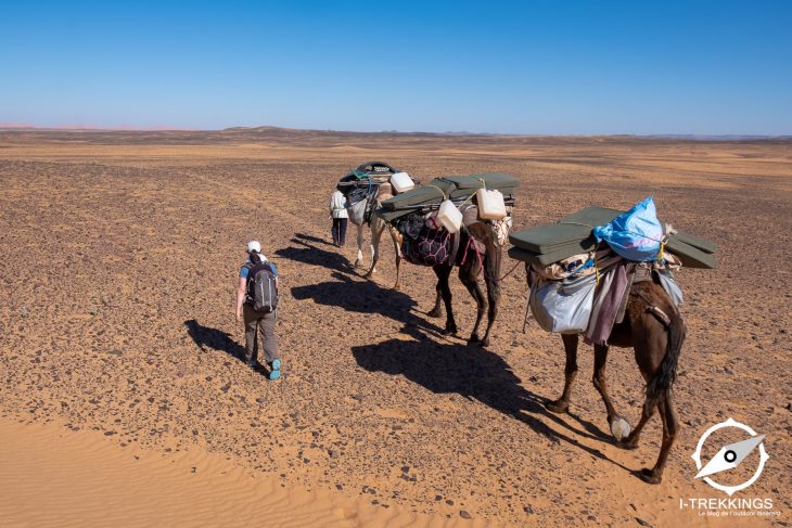 Randonnée dans les Dunes de Merzouga