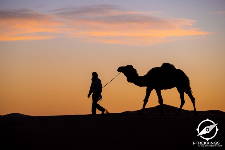 Randonnée dans les Dunes de Merzouga