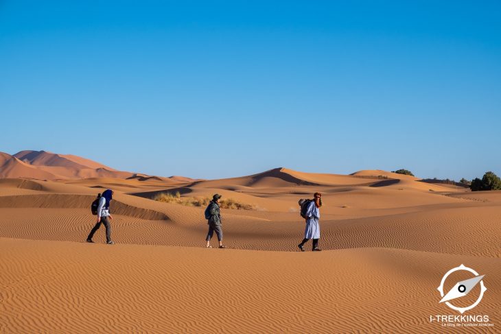 Randonnée dans les Dunes de Merzouga