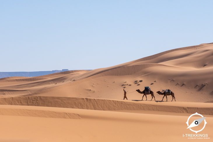 Randonnée dans les Dunes de Merzouga