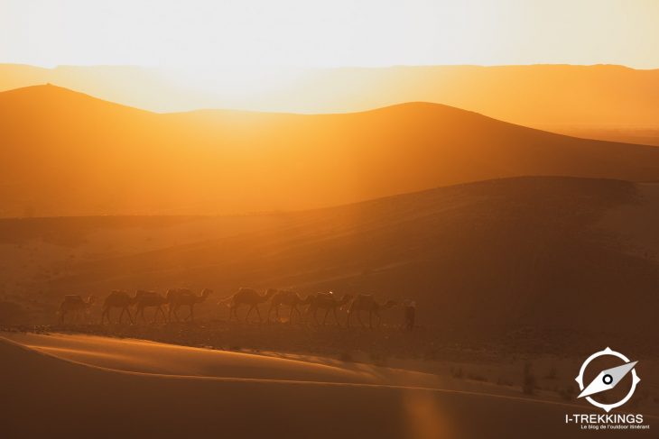 Caravane, Merzouga