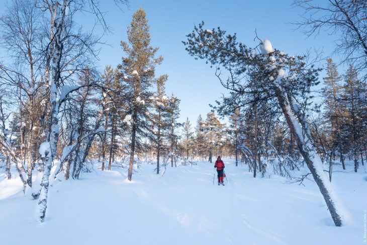 Parc national de Pallas-Yllästunturi à ski-pulka