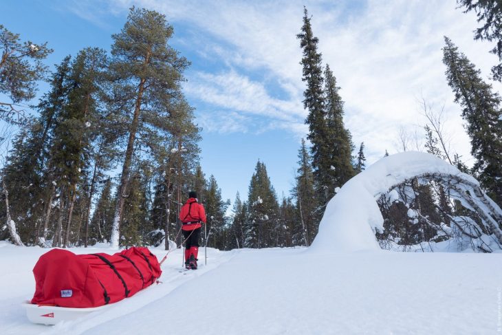 Parc national de Pallas-Yllästunturi à ski-pulka