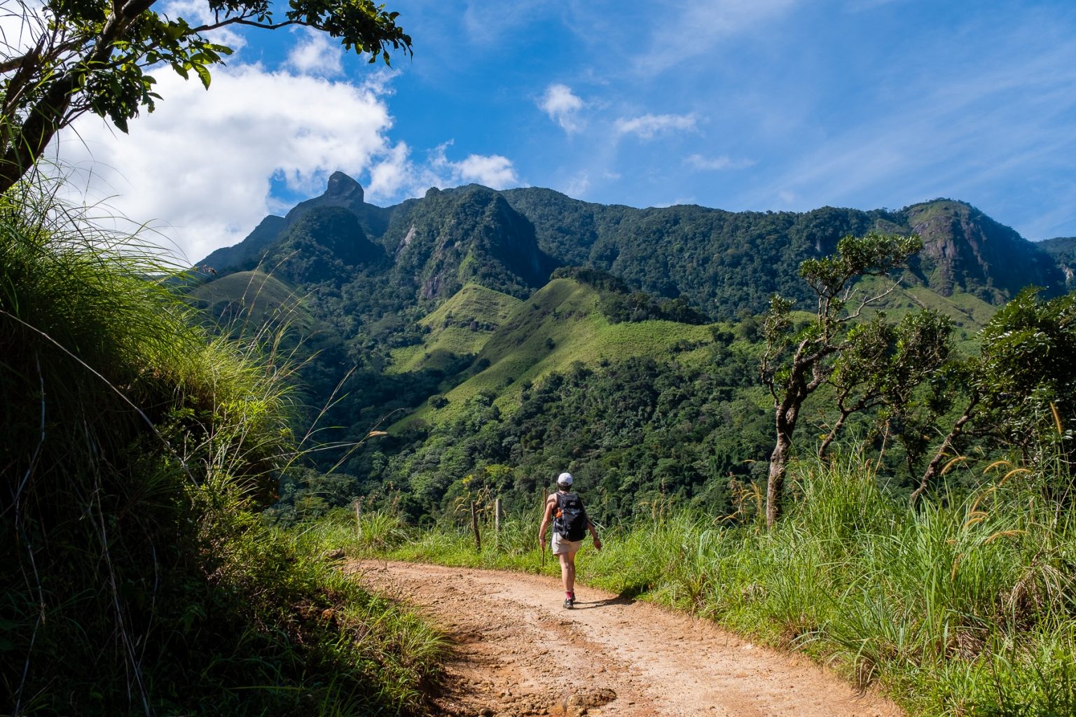 rizières du nord vietnam