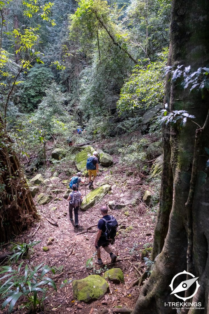 Randonnée dans les monts Knuckles au Sri Lanka