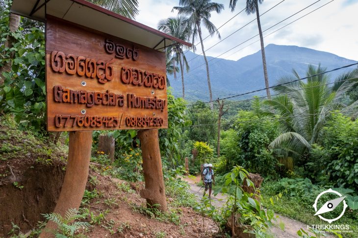 Randonnée dans les monts Knuckles au Sri Lanka